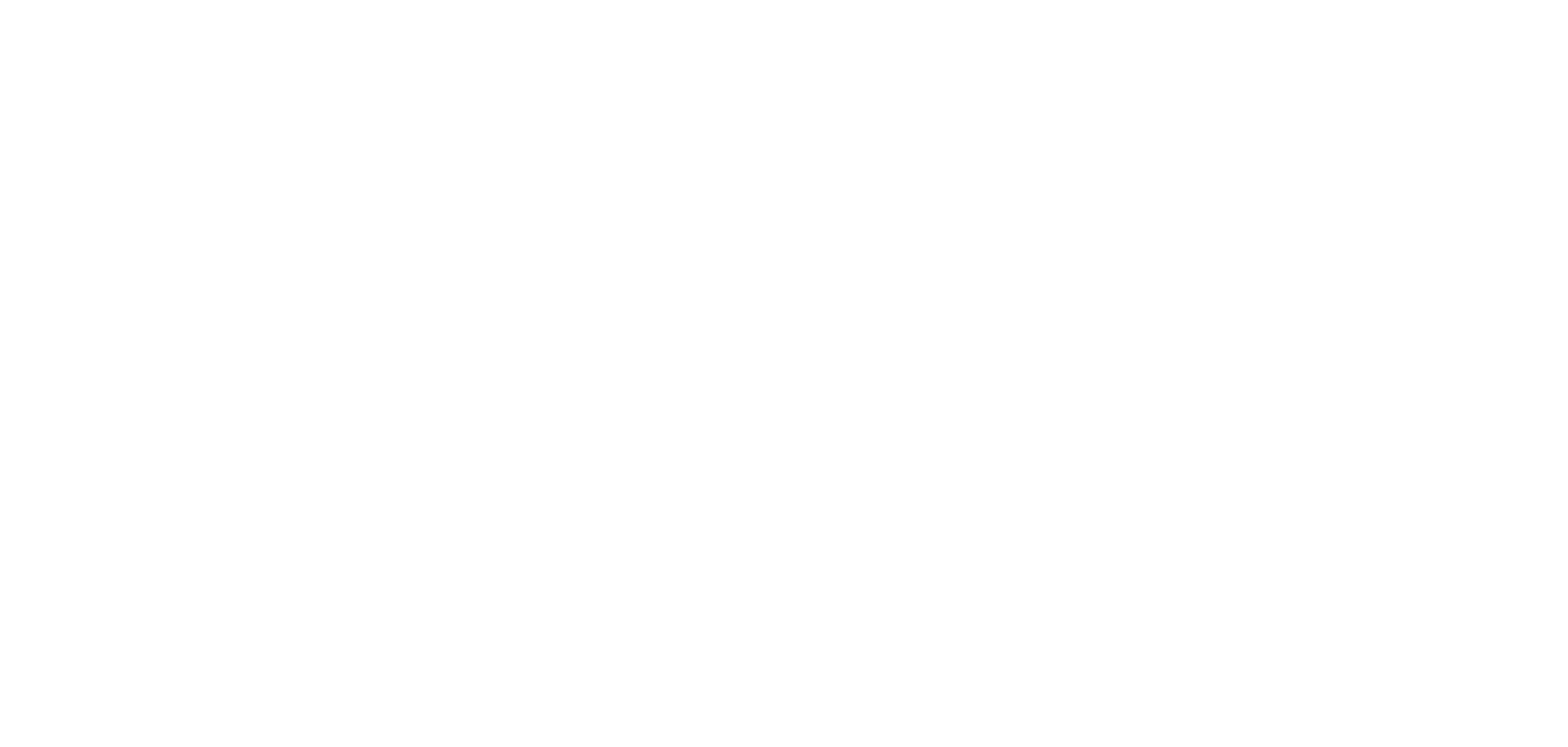 FAU Friedrich-Alexander-Universität